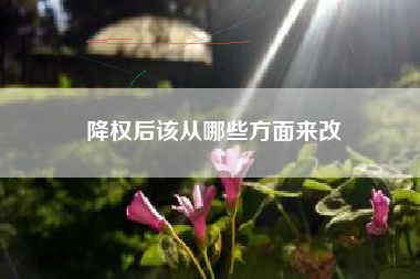 降权后该从哪些方面来改