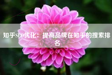 知乎SEO优化：提高品牌在知乎的搜索排名