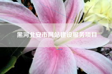 黑河北安市网站建设服务项目