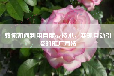 教你如何利用百度seo技术，实现自动引流的推广方法