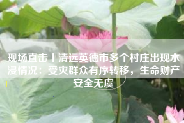 现场直击丨清远英德市多个村庄出现水浸情况：受灾群众有序转移，生命财产安全无虞