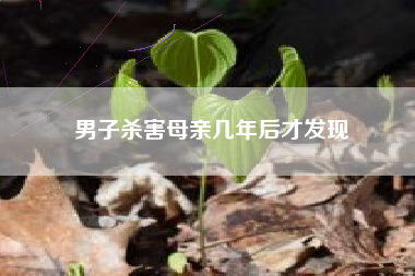 男子杀害母亲几年后才发现