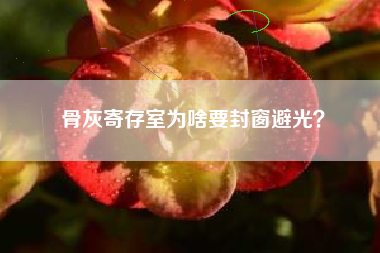 骨灰寄存室为啥要封窗避光？