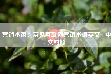 营销术语：常见互联网营销术语英文+中文对照