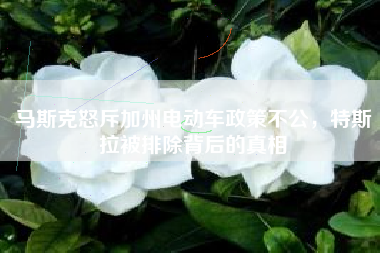 马斯克怒斥加州电动车政策不公，特斯拉被排除背后的真相