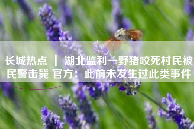 长城热点 ｜ 湖北监利一野猪咬死村民被民警击毙 官方：此前未发生过此类事件