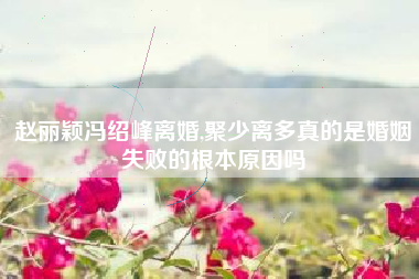 赵丽颖冯绍峰离婚,聚少离多真的是婚姻失败的根本原因吗