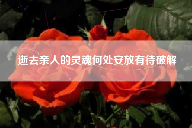 逝去亲人的灵魂何处安放有待破解