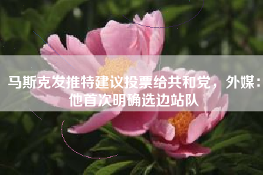 马斯克发推特建议投票给共和党，外媒：他首次明确选边站队