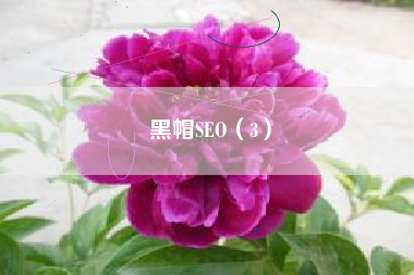 黑帽SEO（3）