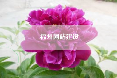 福州网站建设