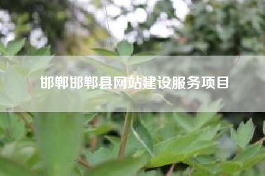 邯郸邯郸县网站建设服务项目