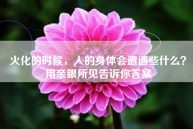 火化的时候，人的身体会遭遇些什么？用亲眼所见告诉你答案