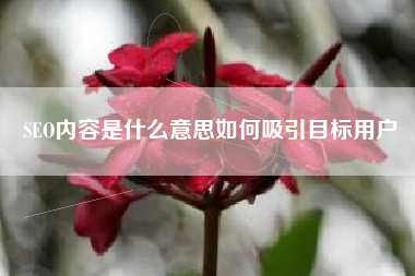 SEO内容是什么意思如何吸引目标用户