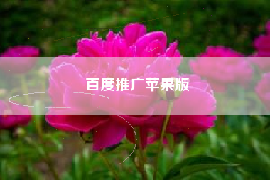 百度推广苹果版