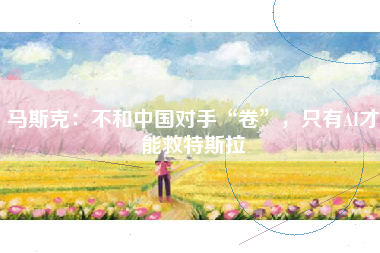马斯克：不和中国对手“卷”，只有AI才能救特斯拉
