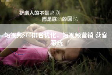 短视频SEO排名优化，短视频营销 获客 系统