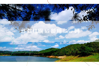 23 款红旗 h5 能用 hicar 吗