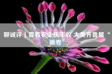 聊诚评｜喜看农业庆丰收 大美齐鲁展“画卷”