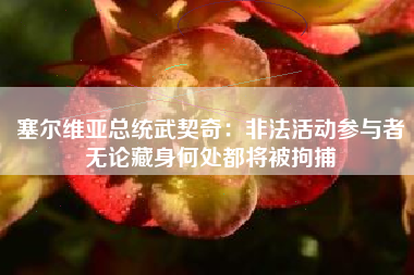 塞尔维亚总统武契奇：非法活动参与者无论藏身何处都将被拘捕