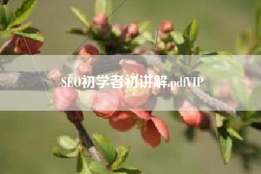 SEO初学者初讲解.pdfVIP