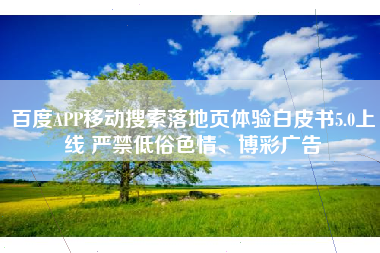 百度APP移动搜索落地页体验白皮书5.0上线 严禁低俗色情、博彩广告