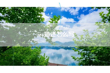 seo描述怎么写