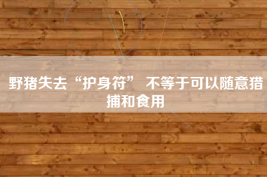 野猪失去“护身符” 不等于可以随意猎捕和食用