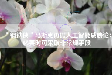 ＂钢铁侠＂马斯克再抛人工智能威胁论：必要时可采取非常规手段