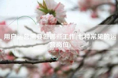 用户运营需要做哪些工作(七种常见的运营岗位)
