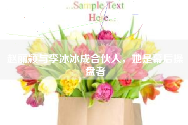 赵丽颖与李冰冰成合伙人，她是幕后操盘者