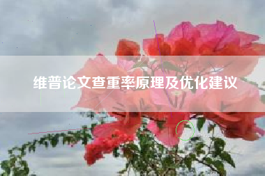 维普论文查重率原理及优化建议