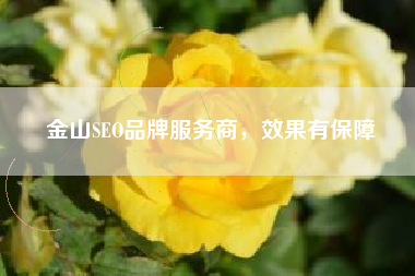金山SEO品牌服务商，效果有保障