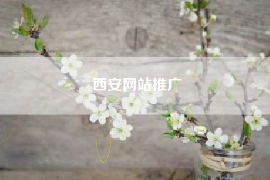 西安网站推广