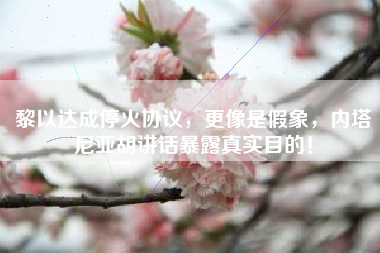 黎以达成停火协议，更像是假象，内塔尼亚胡讲话暴露真实目的！
