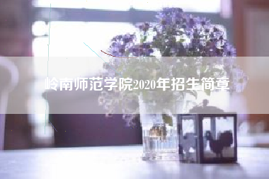 岭南师范学院2020年招生简章