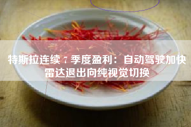 特斯拉连续 7 季度盈利：自动驾驶加快雷达退出向纯视觉切换