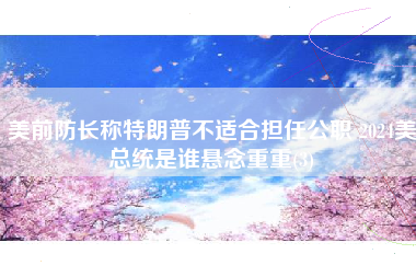 美前防长称特朗普不适合担任公职 2024美总统是谁悬念重重(3)