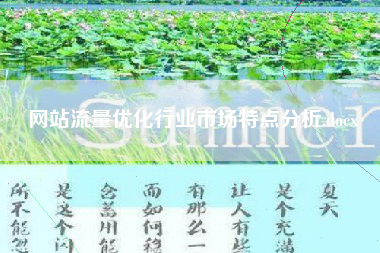 网站流量优化行业市场特点分析.docx