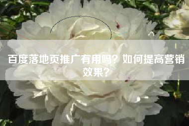 百度落地页推广有用吗？如何提高营销效果？