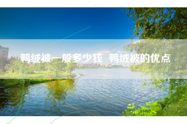 鸭绒被一般多少钱  鸭绒被的优点