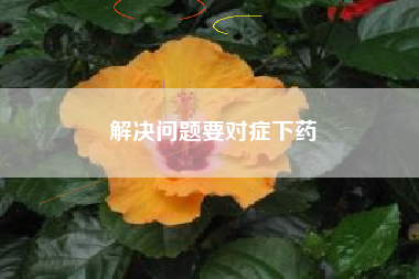 解决问题要对症下药