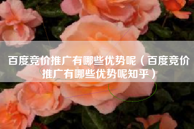 百度竞价推广有哪些优势呢（百度竞价推广有哪些优势呢知乎）