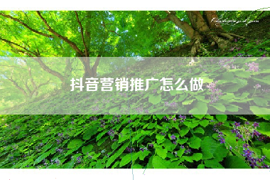 抖音营销推广怎么做