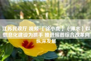 江苏民政厅 视频 【徐小虎】（溧水）以信息化建设为抓手 推进殡葬综合改革向纵深发展