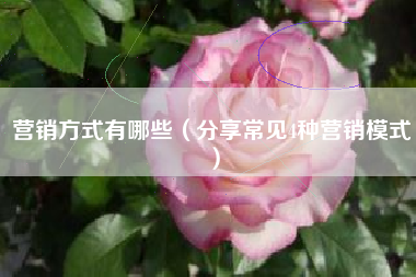 营销方式有哪些（分享常见4种营销模式）