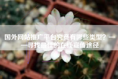 国外网站推广平台究竟有哪些类型？——寻找最佳的在线宣传途径