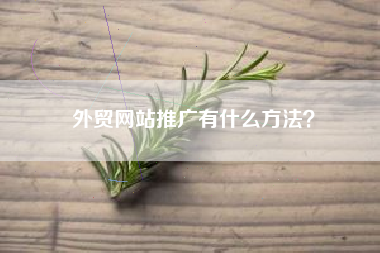 外贸网站推广有什么方法？