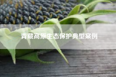 青藏高原生态保护典型案例