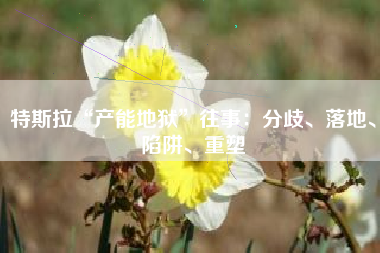 特斯拉“产能地狱”往事：分歧、落地、陷阱、重塑